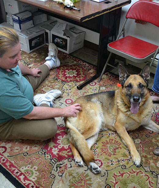 Historical photo of Creature Comforts Veterinary Service staff or facility in Saylorsburg, PA
