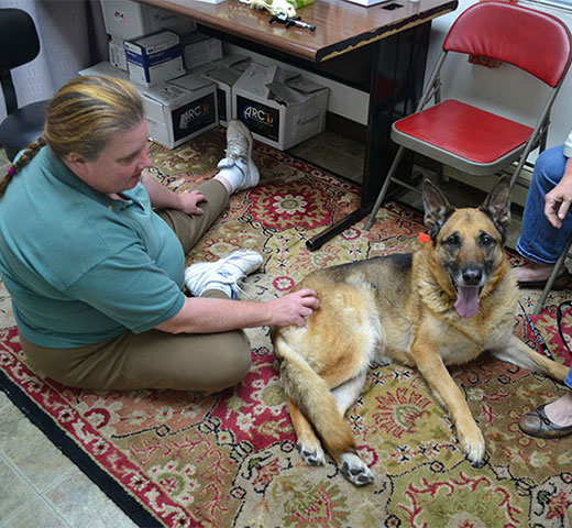 emergency-sec4-img3-updated Emergency veterinary care area at Creature Comforts Veterinary Service in Saylorsburg, PA